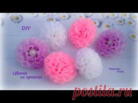 🌺 Цветы из органзы 🌺 Резиночки для волос 🌺 Канзаши 🌺 DIY 🌺 Hand мade 🌺 Kanzashi 🌺