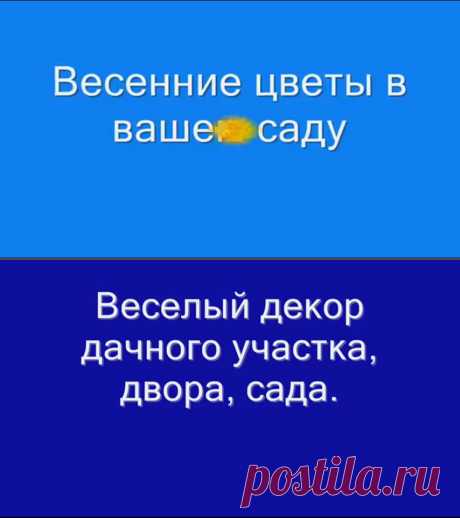 Как_украсить_двор_Веселый_декор_для_сада_двора.