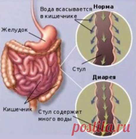 Наше здоровье Будьте здоровы вместе с нами