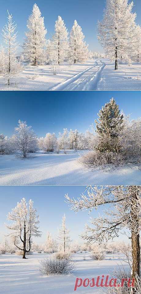 Андрей Снегирёв - Профиль пользователя - фото.сайт - Photosight.ru (фото на 10 страницах)