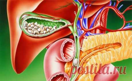 Интересные новости     Холецистит – лечение народными средствами