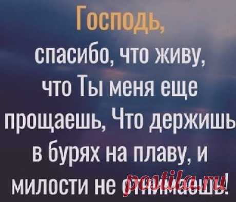 Молитвы на все случаи жизни Благослови, Господи, укрепи и защити Своей благодатию, осеняй Твоей милостию, укрепи и приумножи умственные и телесные силы, яви милосердие, и благодатную помощь Твою. Помоги, Господи, подай благословление на все благие пути жизни сей, яко же Благ и Человеколюбец. Аминь.🙏🏻🙏🏻🙏🏻