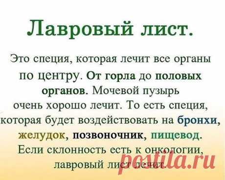 ЛАВРОВЫЙ ЛИСТ В ПОМОЩЬ

Именно остеохондроз является причиной боли в спине в 80% случаев.

Для тех, у кого застарелый остеохондроз, лучше любых мазей из аптеки помогают средства на основе лаврового листа.

Вот отличные рецепты:
1) Лавровое масло. Залить стаканом оливкового масла 1 ст. ложку мелко нарезанных лавровых листьев и настаивать 15 дней в теплом месте. Лучше всего втирать масло в больные места на ночь, а потом тепло укутываться.

2) Настой. Взять 1 ч. ложку измельч...