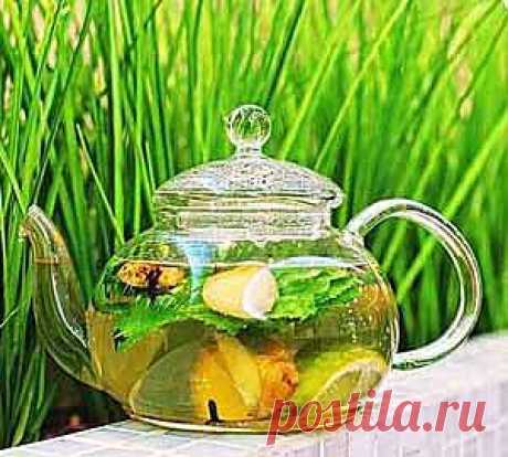 Имбирный чай для похудения | Блог Ирины Зайцевой