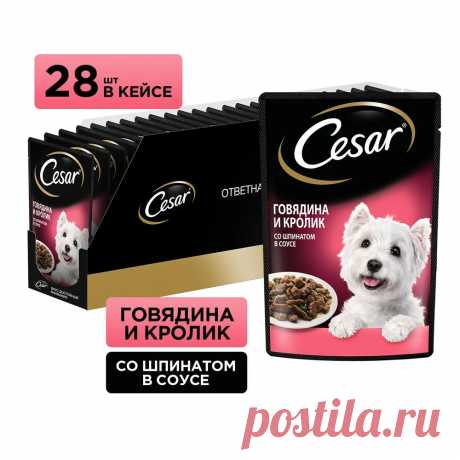 Влажный корм для собак Cesar Adult, с говядиной, кроликом и шпинатом кусочки в соусе, 28 х 85 г - купить с доставкой по выгодным ценам в интернет-магазине OZON (181790516)