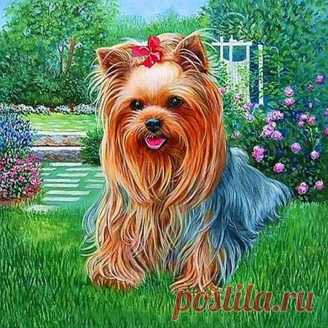 Yorkie Dog with Bow Diamond Art Painting Kit STRESS RELIEF ON A CANVAS New to Diamond Painting and just starting out?   Are you a seasoned Diamond Painting pro looking for new designs and a better customer experience? Diamond Art Gifts has what you need:   Each of our premium quality Diamond Painting Kits comes in 2 to 4 different sizes. We have smaller sizes per