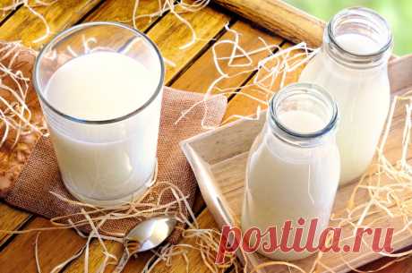 Полезные свойства молока для человека, влияние на организмWomfit