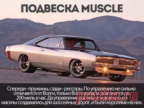 Интересные факты о Muscle Cars / Только машины