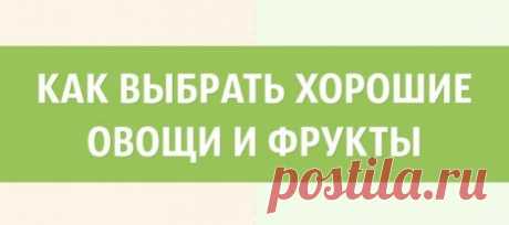 Выбираем фрукты и овощи: шпаргалка в картинках — Полезные советы