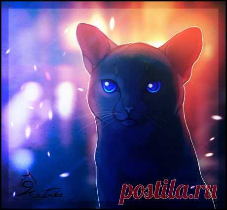 Фото Черная кошка с голубыми глазами, художник cobravenom, страница