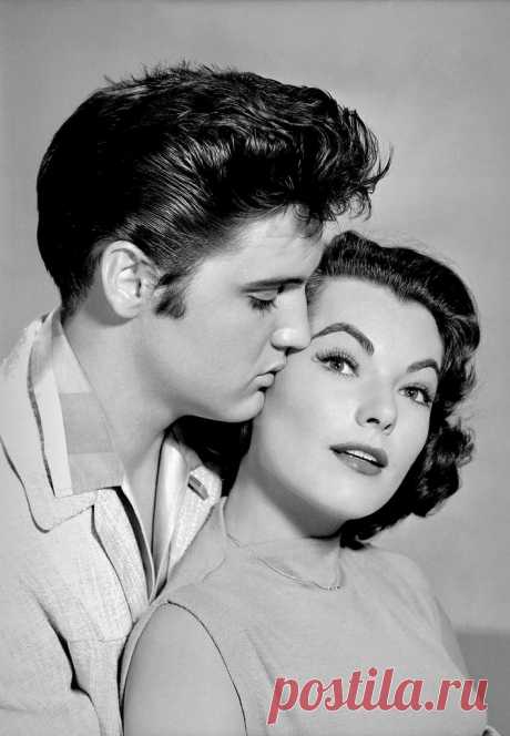 Elvis Presley and Judy Tyler in Jailhouse Rock (1957) Explore Tommy’s Mag.'s photos on Flickr. Tommy’s Mag. has uploaded 6150 photos to Flickr.