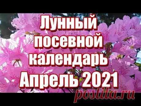 Лунный посевной календарь на Апрель 2021