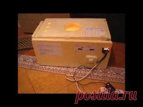 самодельный пенопластовый инкубатор. homemade styrofoam incubator