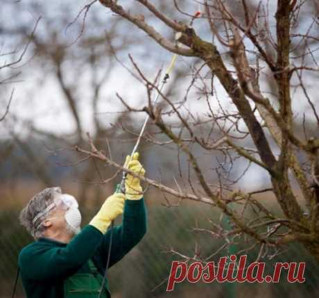 Что делать в саду, огороде и цветнике в октябре – завершаем дачный сезон правильно