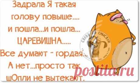 кого хочу я осчастливить, тому уже спасенья нет... Прикольные двустишья