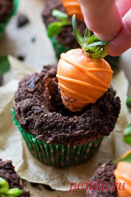 Carrot Patch Cupcakes