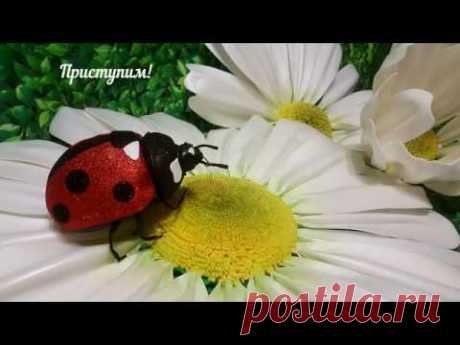 Видео МК Божья Коровка! Master class Ladybug!