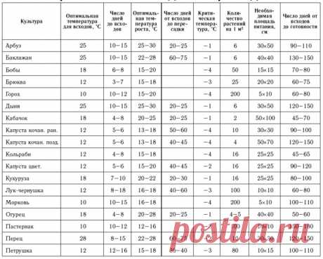 Сколько дней прорастают семена? Таблицы | Дача