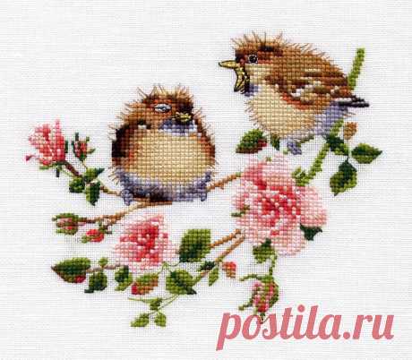 Rose Chick-Chat/Птенцы и розы