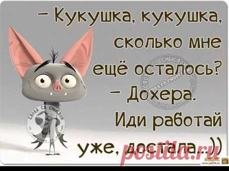 юмор в картинках с надписями до слез про жизнь: 8 тыс изображений найдено в Яндекс.Картинках