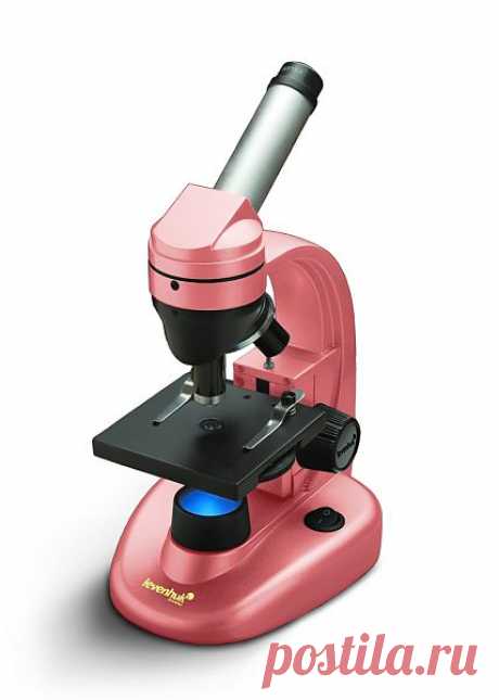 Микроскоп Levenhuk D50L NG, Этот биологический микроскоп – верный помощник каждого, кто собирается открыть для себя удивительный микромир: это и школьники, и учащиеся лицеев, и те, кто хочет вести самостоятельные наблюдения у себя дома.