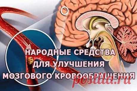 Целебная смесь для укрепления сосудов, восстановления памяти, восстановления мозгового кровообращения
Гипертония и атеросклероз — две основные причины, приводящие к нарушению мозгового кровообращения. Именно из-за них развивается паралич, падает зрение, теряется координация, нарушается движение, возникает инсульт.   Хронические сосудистые заболевания мозга называются дисциркуляторной...
Читай дальше на сайте. Жми подробнее ➡