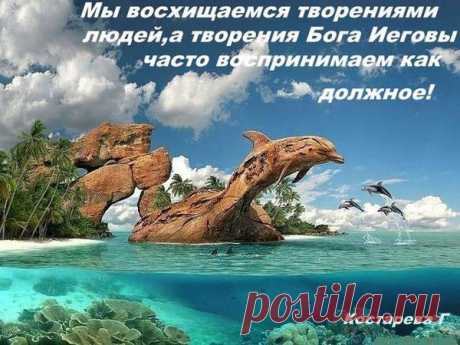 Мой Мир@Mail.Ru