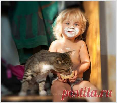 Малыши и коты / Питомцы