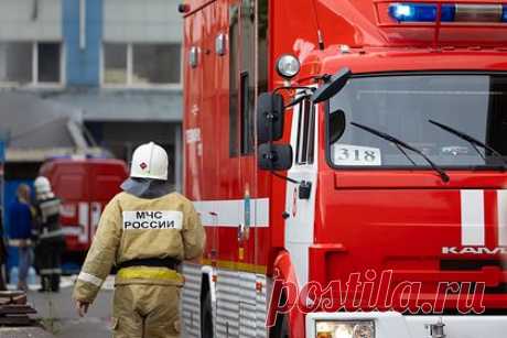 В Москве при пожаре погибли три человека. Три человека погибли при пожаре в многоэтажном доме на Северодвинской улице в Москве. Об этом сообщает Telegram-канал «112». По данным авторов канала, огонь распространился на 13-м этаже здания. Один из погибших скончался, когда пытался спастись от пожара, выпрыгивая из окна.