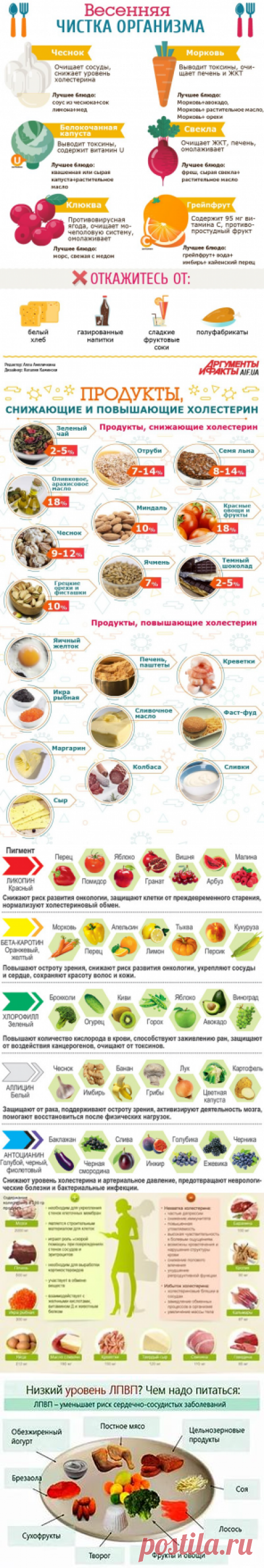 продукты снижающие холестерин и очищающие сосуды: 24 тыс изображений найдено в Яндекс.Картинках