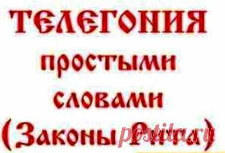 Познавательно о Законе Рита — законе о чистоте духа и крови