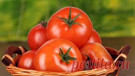 Урожай помидоров можно собирать в мае
