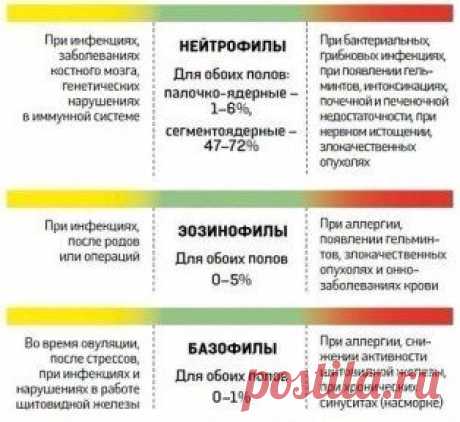 На заметку
О чем расскажет анализ крови.