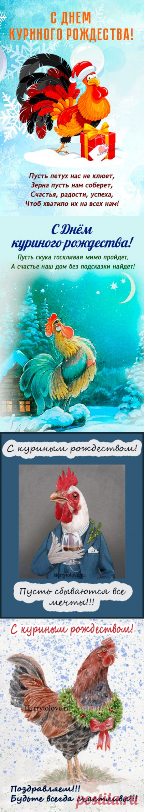 Картинки на день куриного рождества: прикольные поздравления в открытках на 20 декабря
