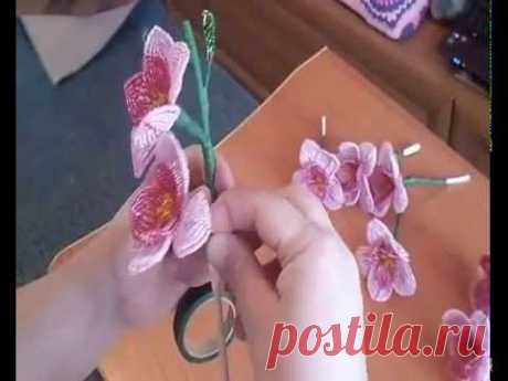 орхидея из бисера мастер класс