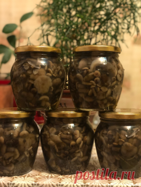 Как замариновать грибы так, чтобы они были вкусными и ароматными. 5 рецептов от грибников
