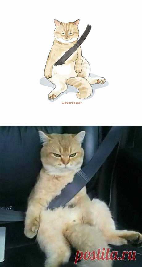 20 смешных мемов с котами превратили в рисунки, и они смехотворно точны