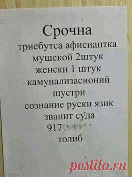 Это самая смешная подборка объявлений. Что только люди не напишут. Смех до слез | Ольга Ильина | Яндекс Дзен