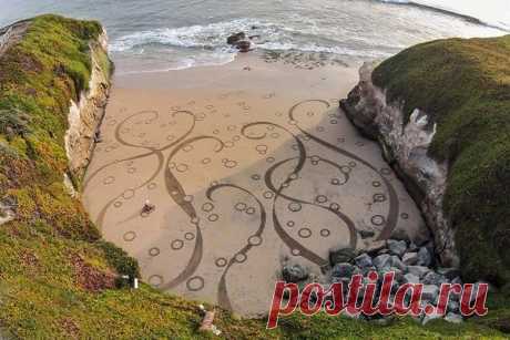 43-летний художник Андрес Амадор из Сан-Франциско рисует на пляжах во время отливов уже десять лет. ...