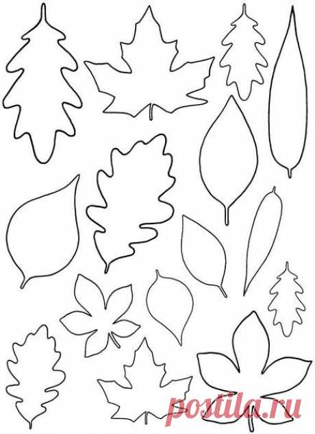 Leaf Patterns