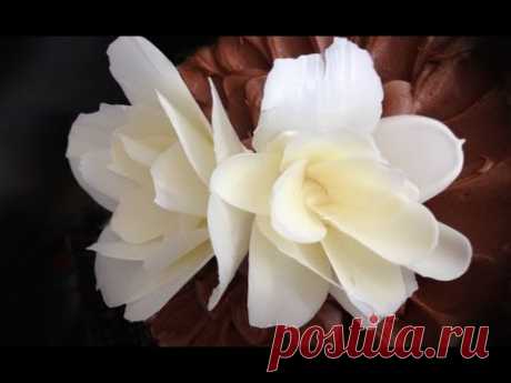 how to make a CHOCOLATE FLOWER rose by Ann Reardon How To Cook That Chocolate