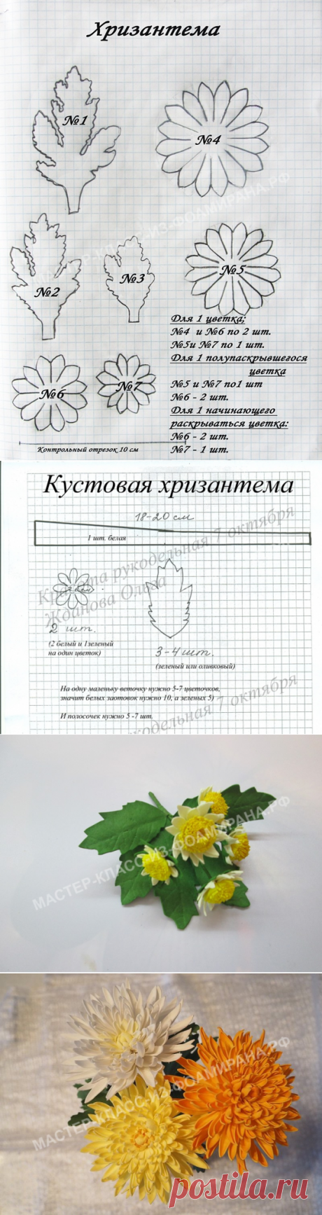 4 выкройки хризантемы из фоамирана (шаблоны цветка и ветки) | Мастер-класс из фоамирана