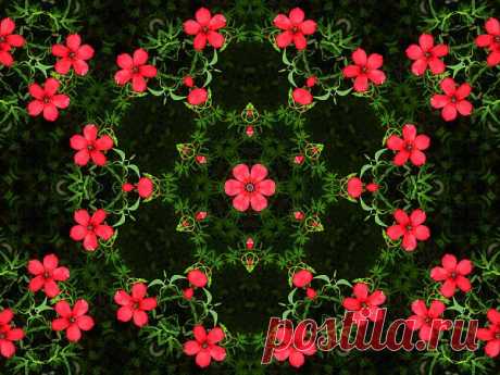 Цветочный узор

Flower Patterned Ornament  Free Stock Photo HD - Public Domain Pictures