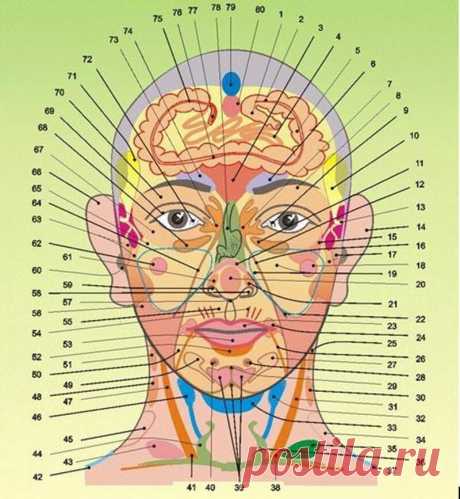 Диагностика здоровья по лицу и шее