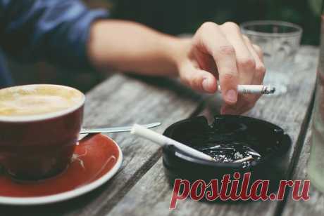 Сигарета с утра - вред колоссален | КРОШКА РУ | Яндекс Дзен