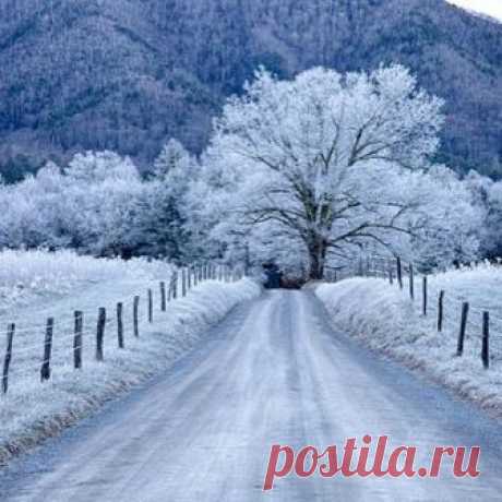 @next_to_heaven в Instagram: «Cades Cove on a snowy morning!»