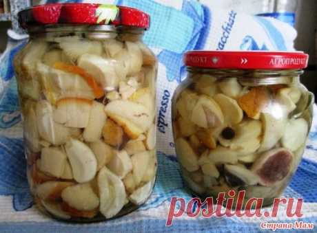 (9) Самый вкусный рецепт маринования грибов! | соления и маринады