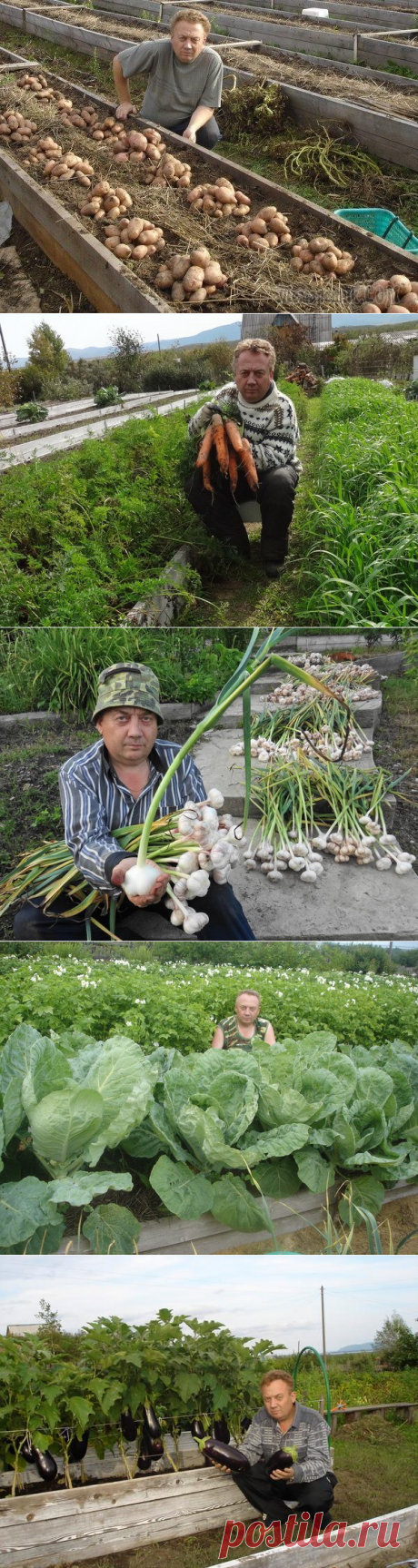 Удивительный огород виктора лядова