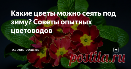 Какие цветы можно сеять под зиму? Советы опытных цветоводов Несмотря на то, что осень у многих огородников ассоциируется с окончанием сезона, это время считается наиболее удачным для посева некоторых растений.

Многие однолетники, высаженные осенью, дают очень ранние всходы, и зацветают намного раньше, чем те же растения, высаженные весной.