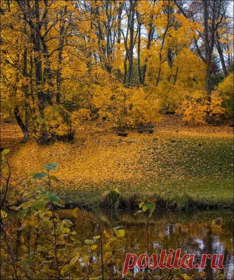 I dreamed of autumn - Eleonora Grigorjeva - LensArt.ru